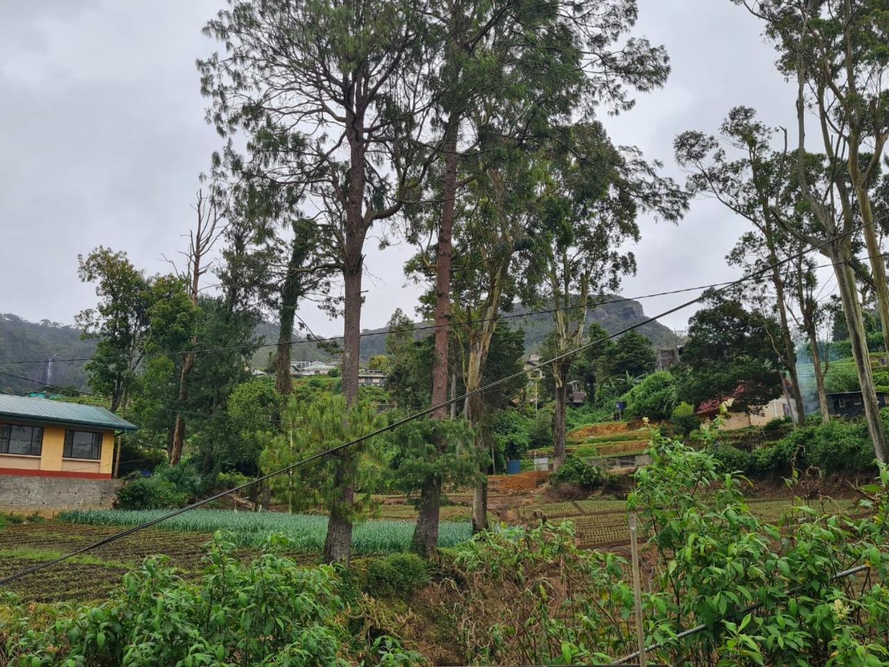 Sasru Holiday Home Nuwara Eliya Exteriör bild